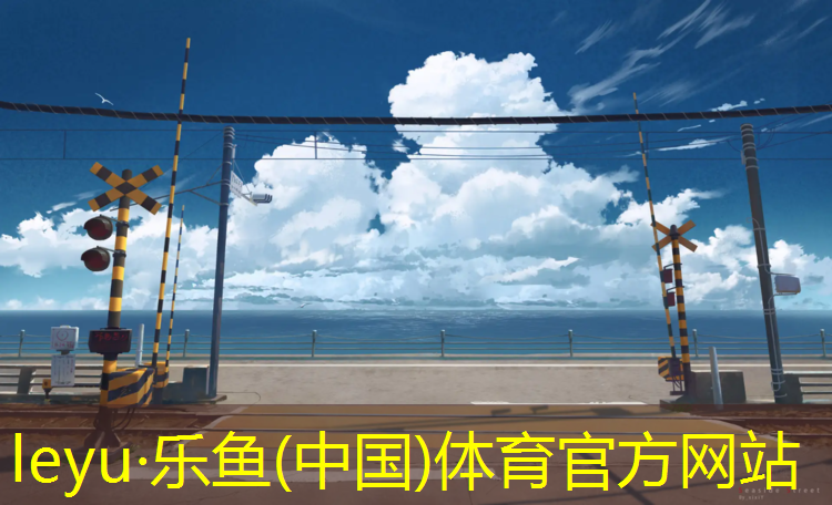 <strong>乐鱼体育,阳江环保塑胶跑道建设</strong>